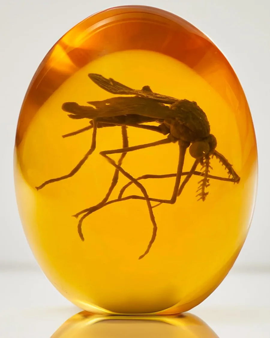 3.3-inch tall realistic mosquito encased in amber resin with a flat bottom, showcasing intricate details of the insect's wings and body.