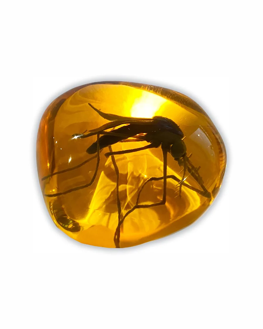 Mosquito replica encased in translucent amber resin, round shape, approximately 3 inches in diameter, set on a sleek black base.