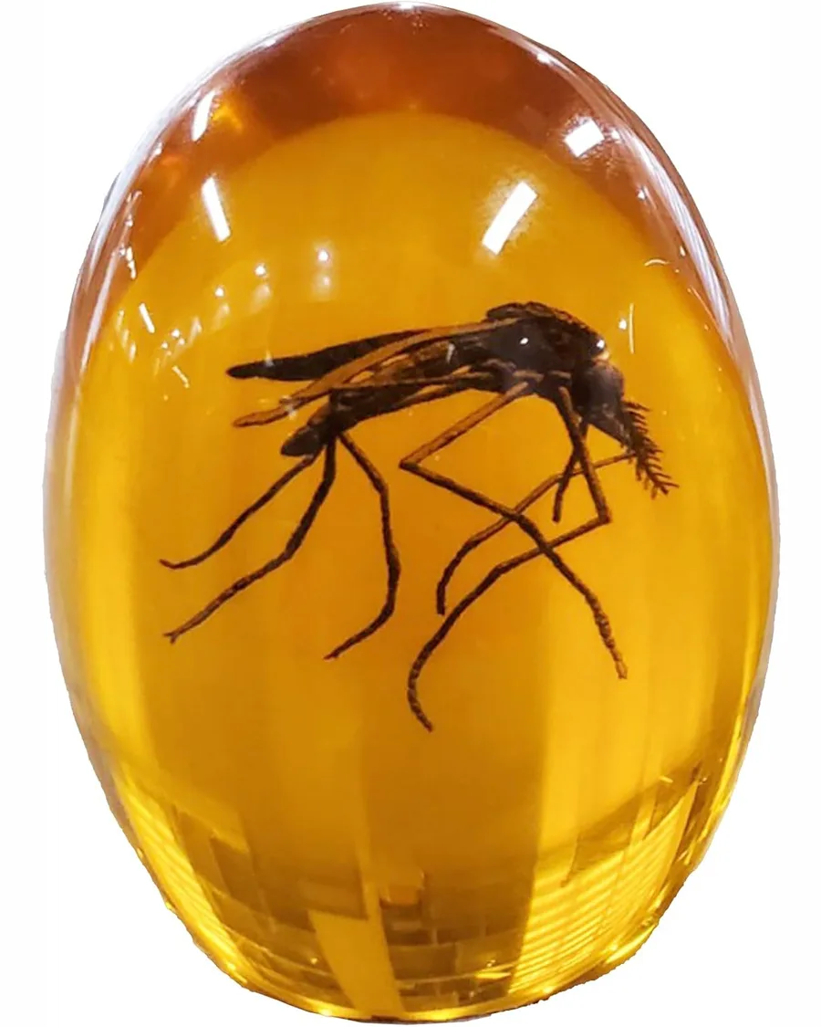 Jurassic mosquito encased in translucent amber resin, oval shape, approx 2 inches, with a natural aged effect and smooth surface