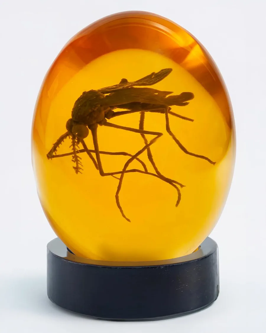 Mosquito encased in transparent amber resin, approx 3 inches, with a flat wooden base for display.
