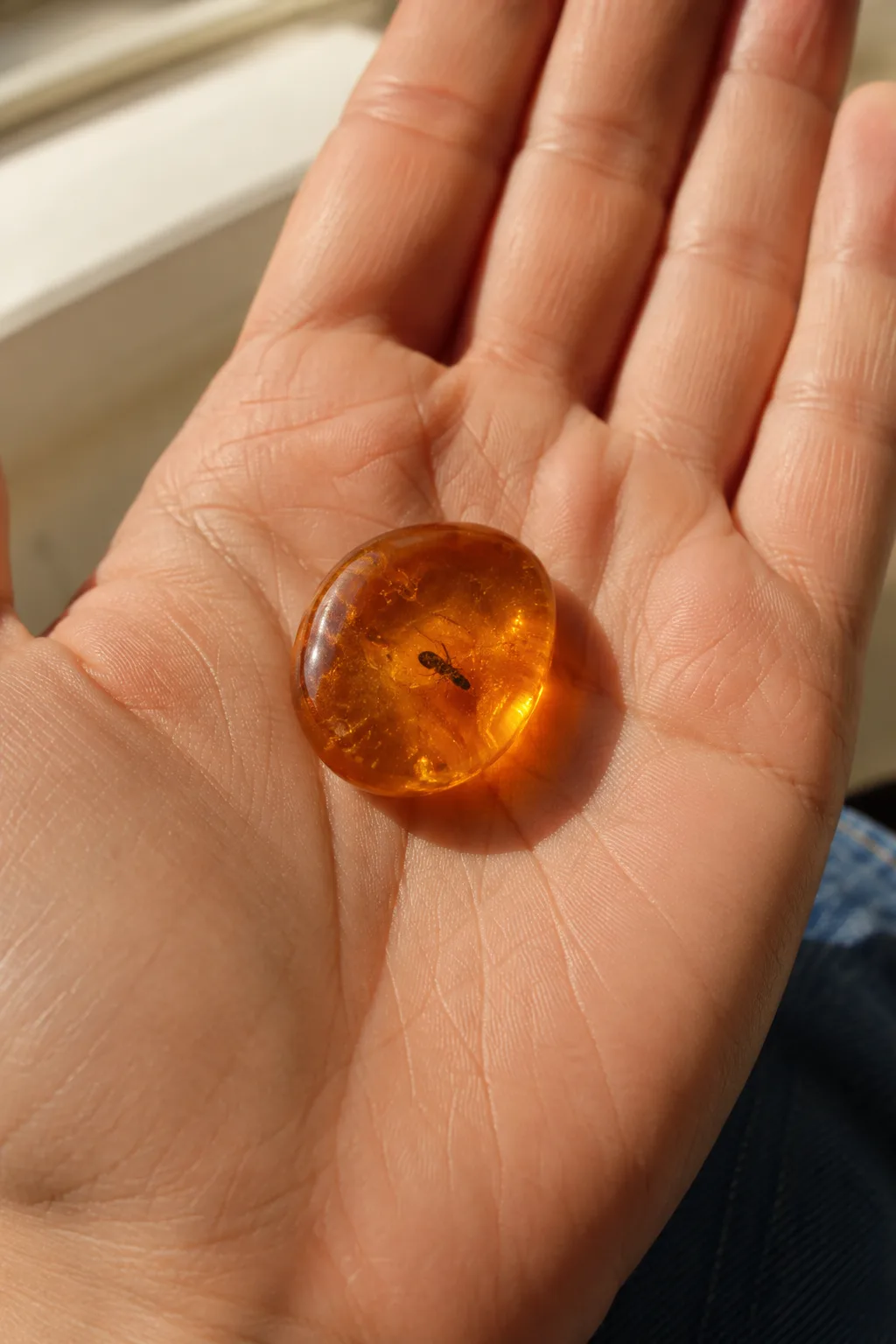 Amber Colors Explained: Cognac, Honey, Lemon, Cherry & Green