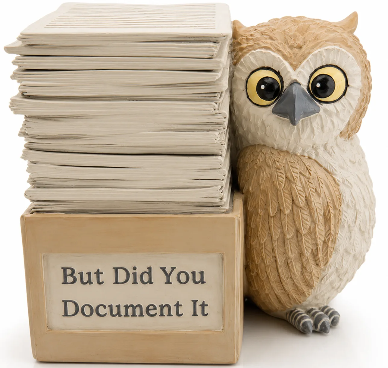 VEOJEIN Document It Paperweight, hand-painted owl resin figurine holding a sign that reads "But Did You Document It," desk decor gift for professionals and programmers.
